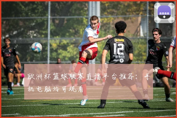 欧洲杯篮球联赛直播平台推荐：手机电脑均可观看