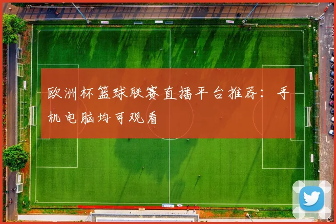 欧洲杯篮球联赛直播平台推荐：手机电脑均可观看