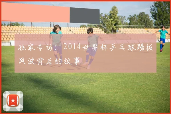 独家专访:2014世界杯乒乓球踢板风波背后的故事