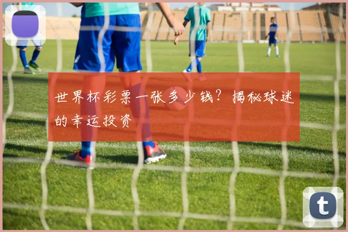 世界杯彩票一张多少钱？揭秘球迷的幸运投资