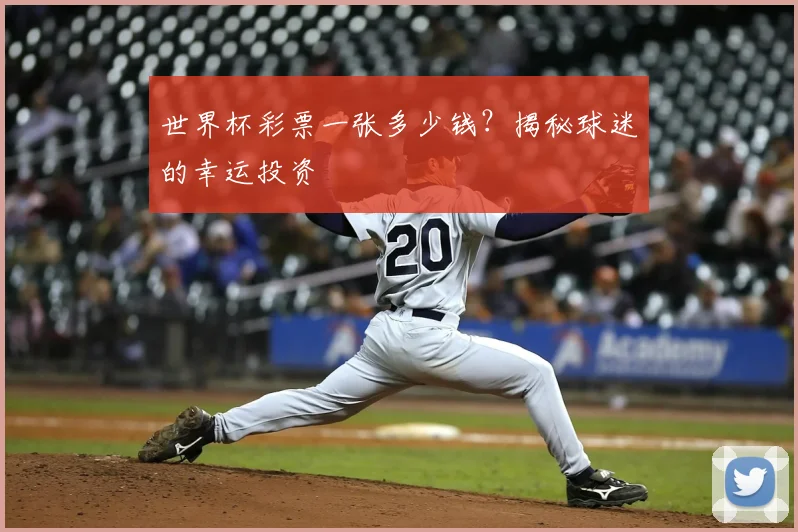 世界杯彩票一张多少钱？揭秘球迷的幸运投资