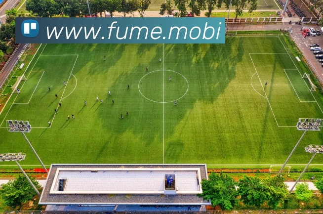 在线体育官网appAPP 封面图